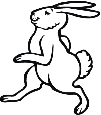 Hare Walks Illustration Coloring Page